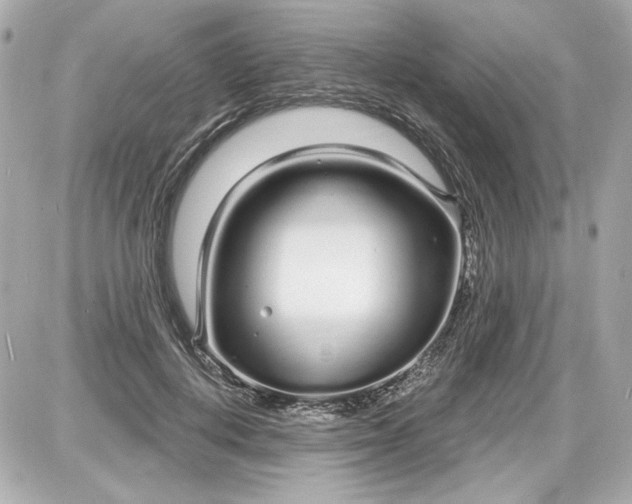 X0000087570648200705112213