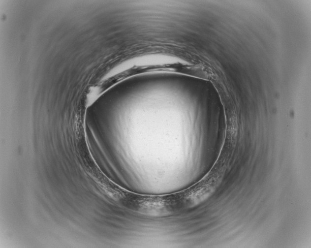 X0000087570653200705112214