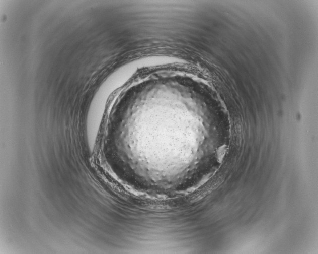 X0000087570654200705112214