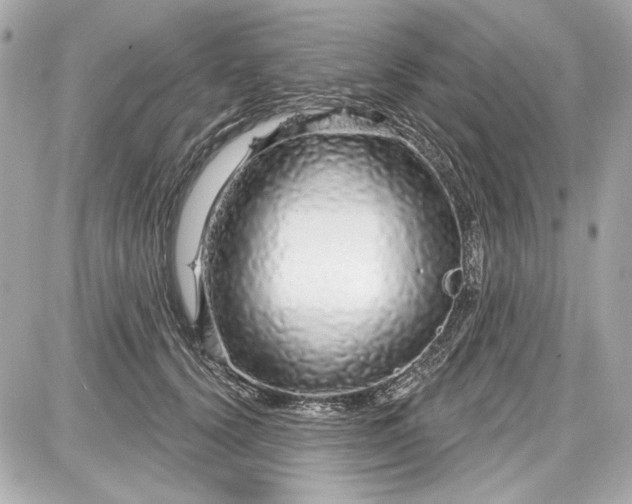X0000087570656200705112214