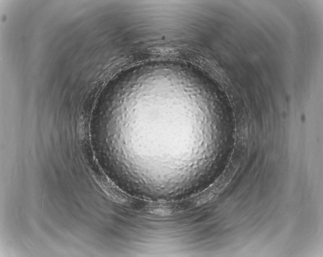 X0000087570658200705112214