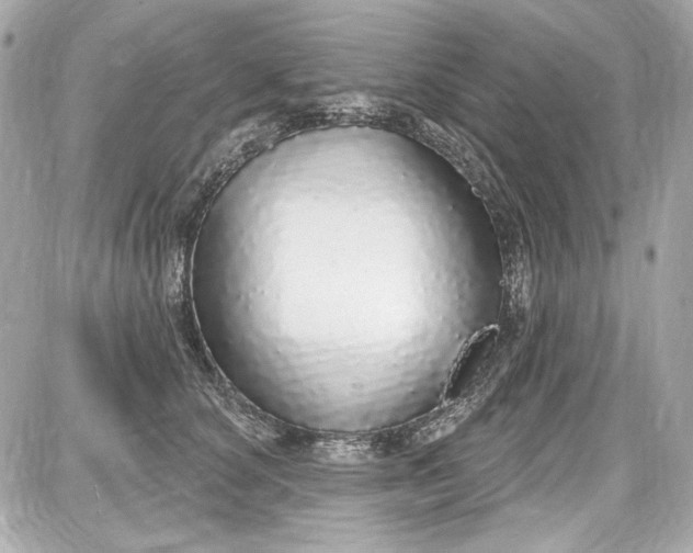 X0000087570660200705112214