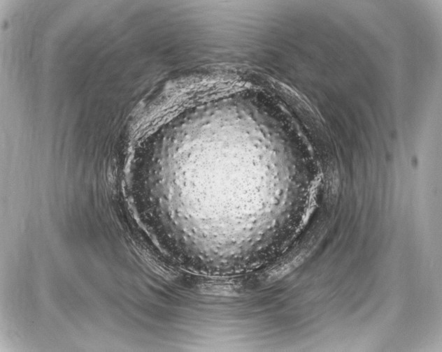 X0000087570661200705112214