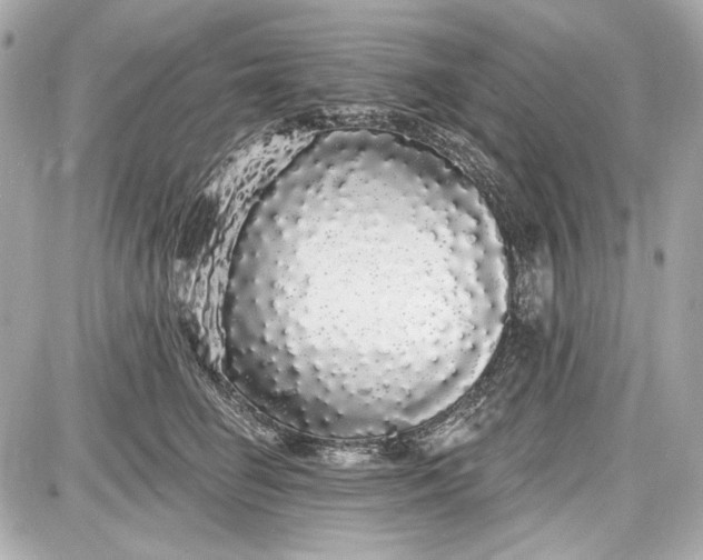 X0000087570662200705112214