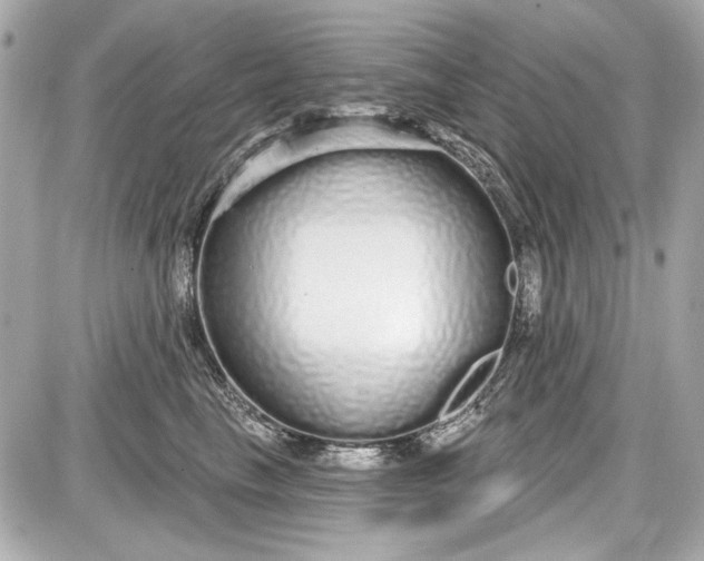 X0000087570665200705112214