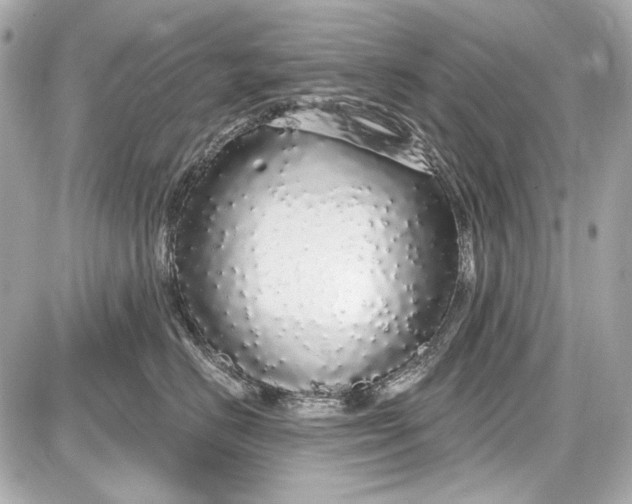 X0000087570670200705112214