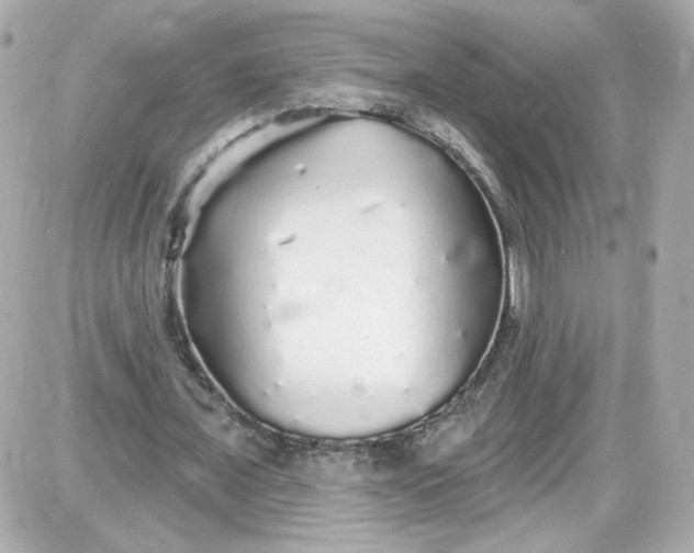 X0000087570675200705112213