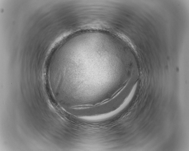 X0000087570680200705112213