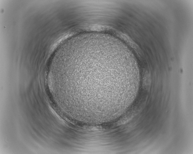 X0000087570683200705112213