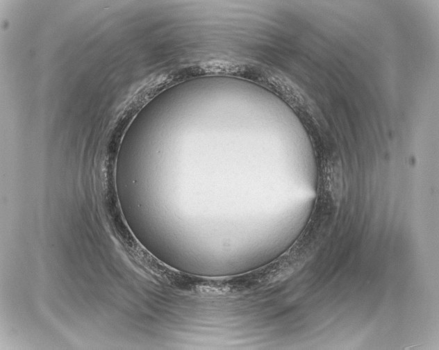X0000087570690200705112213