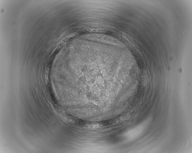 X0000087570695200705112213