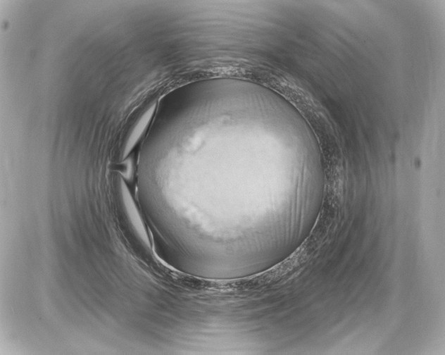 X0000087570696200705112213