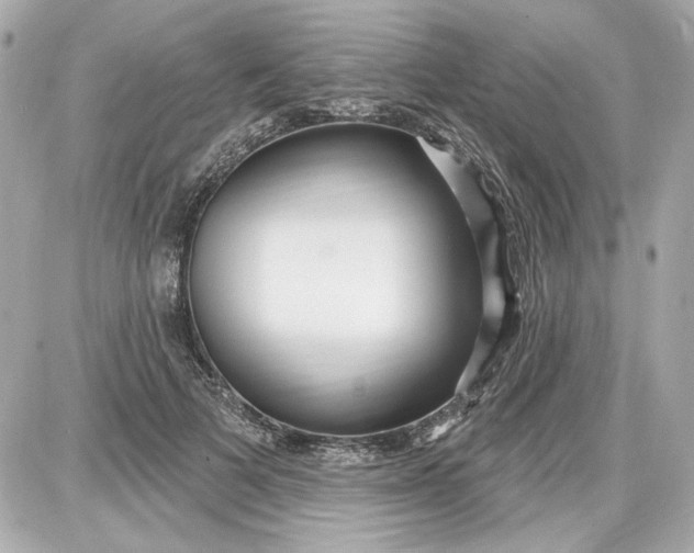 X0000087570697200705112213