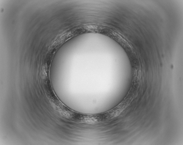 X0000087570702200705112213