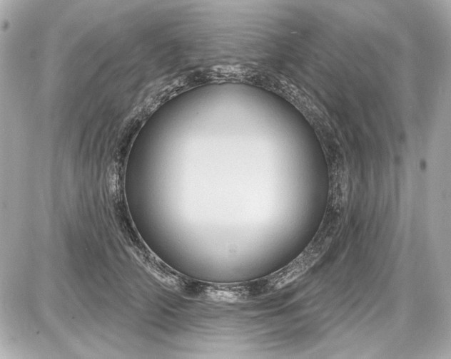X0000087570706200705112213