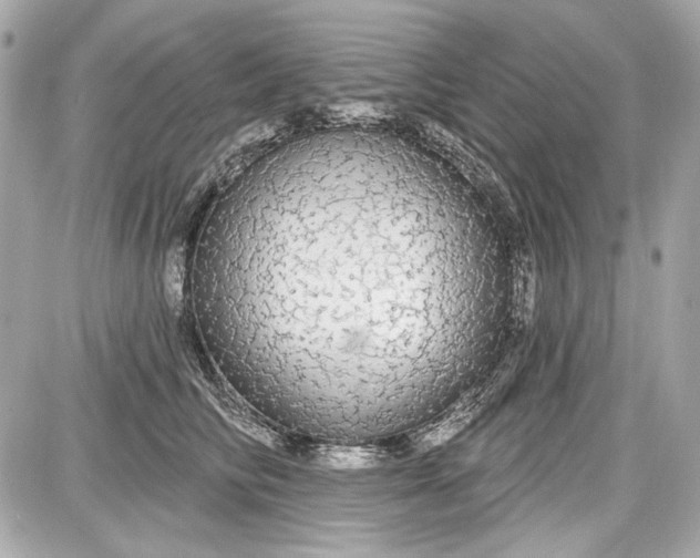 X0000087570710200705112212