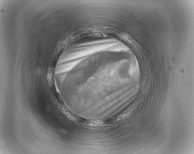 X0000087570720200705112212