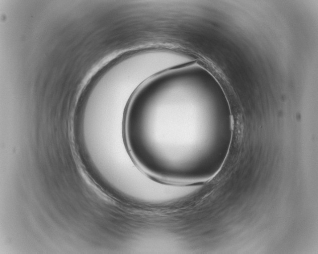 X0000087570726200705112212