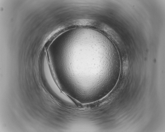 X0000087570727200705112212