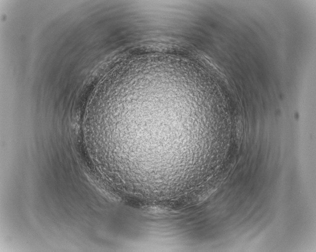 X0000087570737200705112212