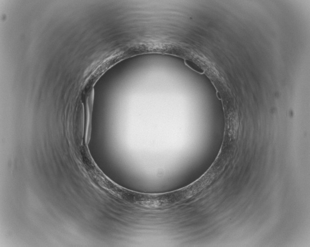 X0000087570740200705112212