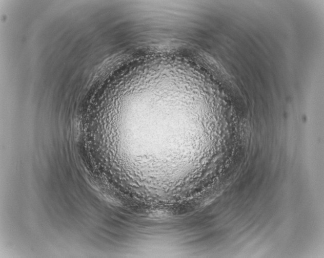 X0000087570741200705112212