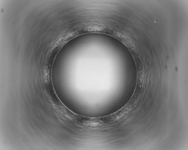 X0000087570743200705112212