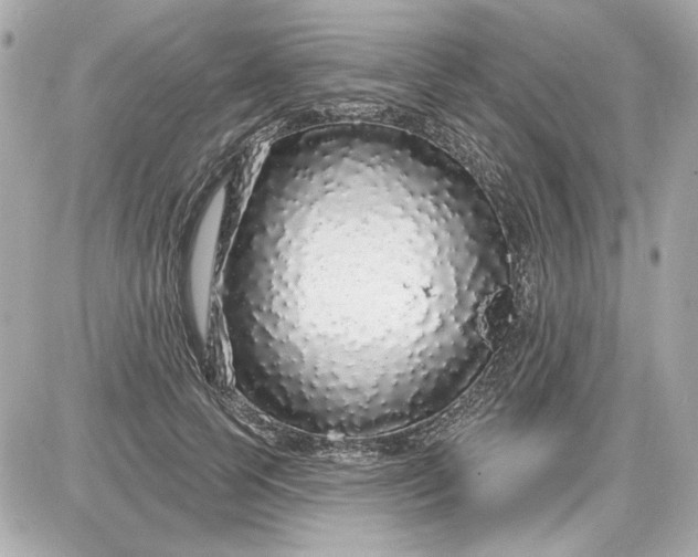 X0000087570745200705112212