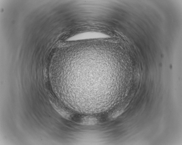 X0000087570749200705112212