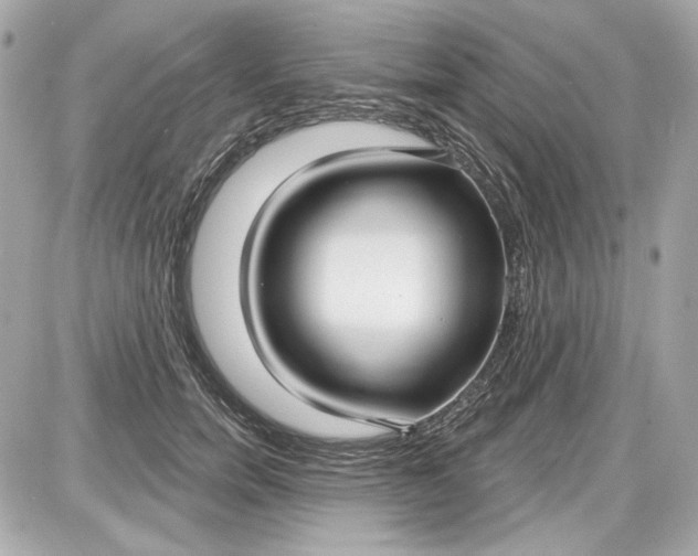 X0000087570750200705112212