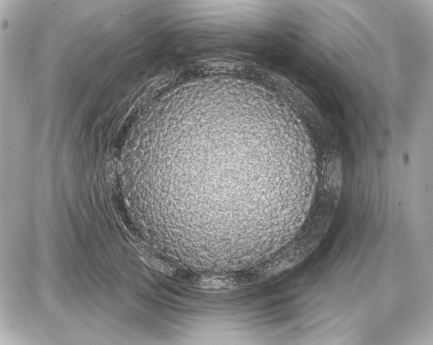 X0000087570753200705112212