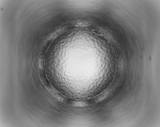 X0000087570755200705112212