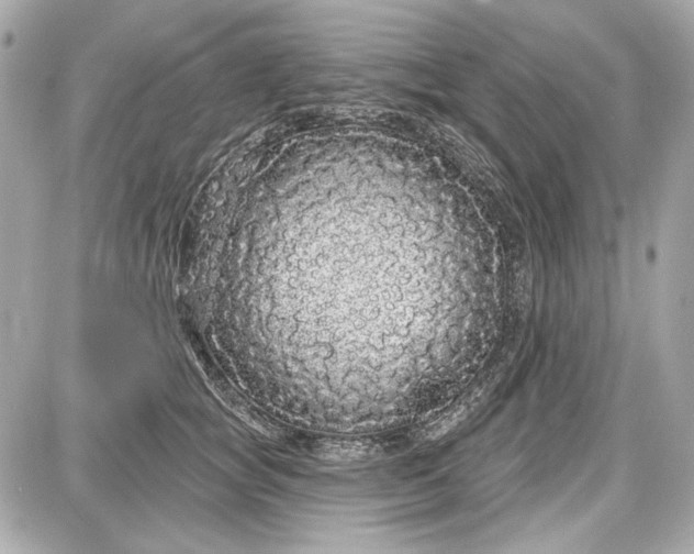 X0000087570757200705112212