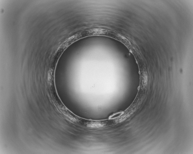 X0000087570759200705112212