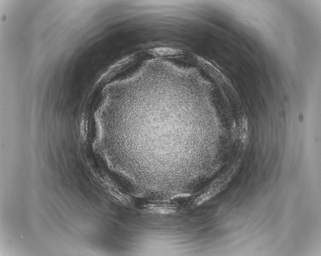 X0000087570763200705112212