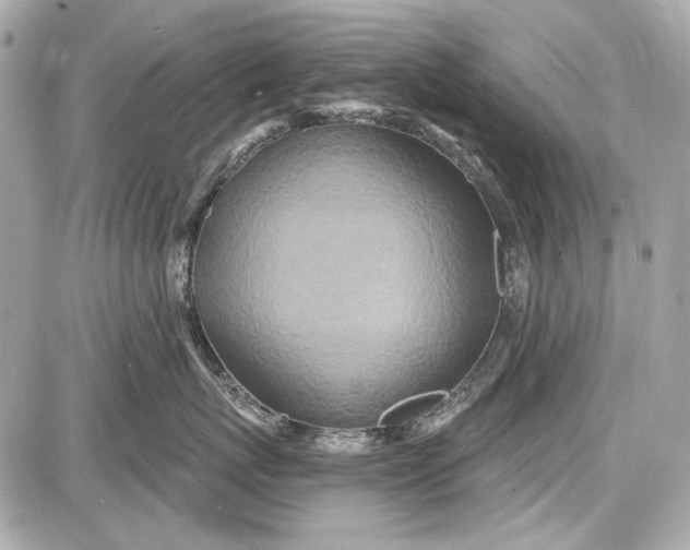 X0000087570767200705112212