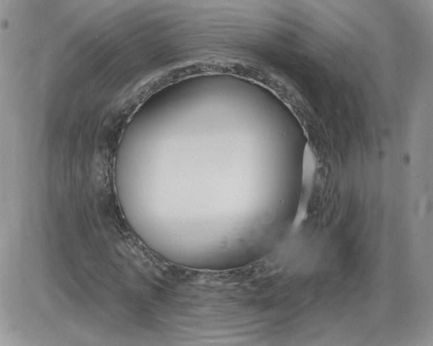 X0000087570773200705112211