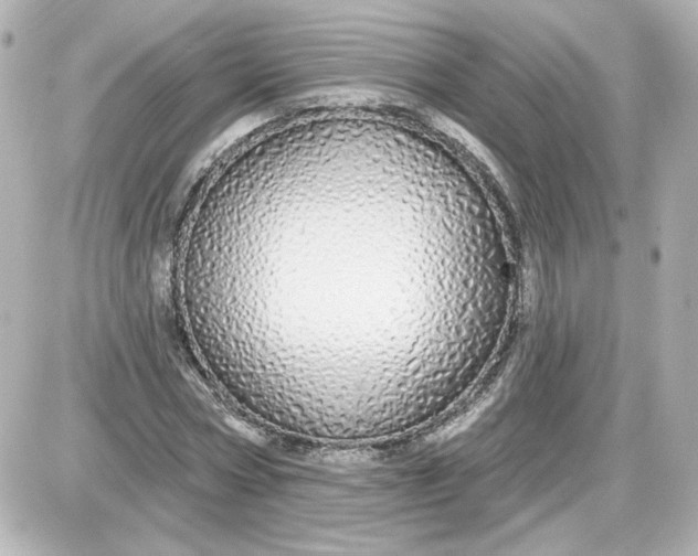 X0000087570778200705112211