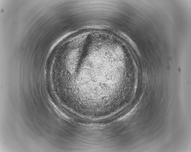 X0000087570779200705112211