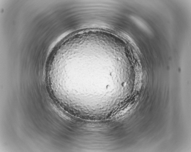 X0000087570780200705112211