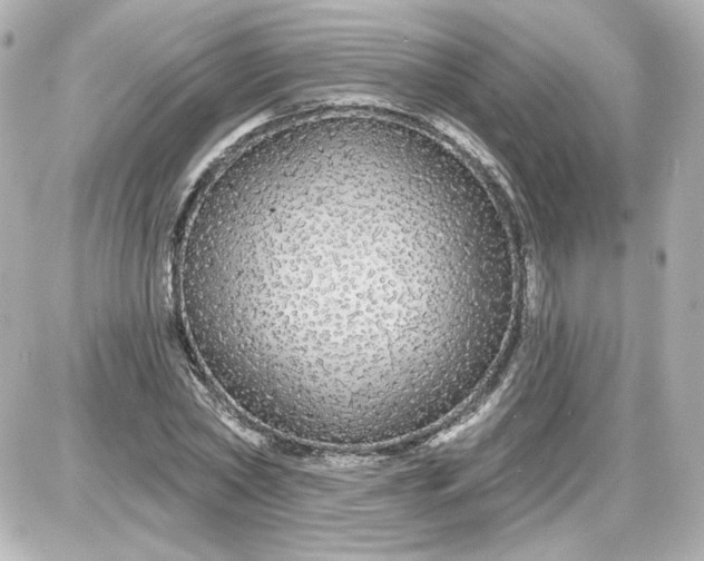 X0000087570782200705112211