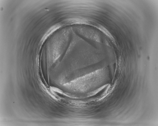 X0000087570790200705112211