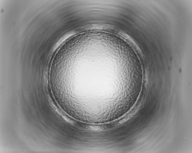 X0000087570794200705112211