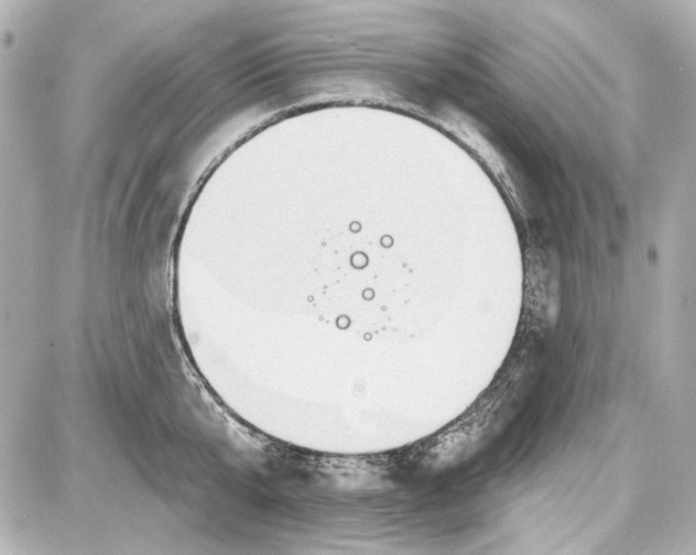 X0000087570807200705112211