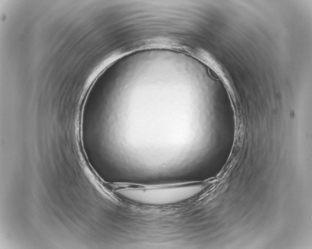 X0000087570811200705112211