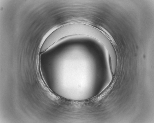 X0000087570812200705112211