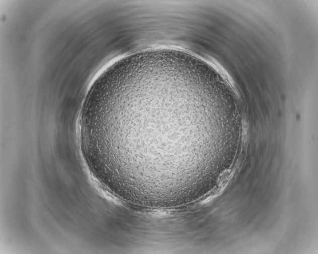 X0000087570814200705112211