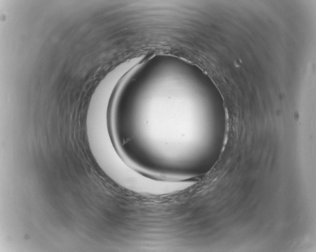 X0000087570818200705112210