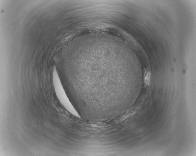 X0000087570819200705112210