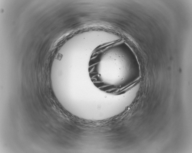 X0000087570824200705112210